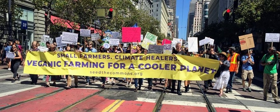 San Francisco Climate March, September 2018 - From the left, Anjou is second person holding the banner and Jaime is the third.
